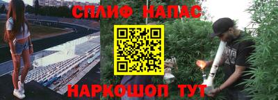 прущие крисы Кимры
