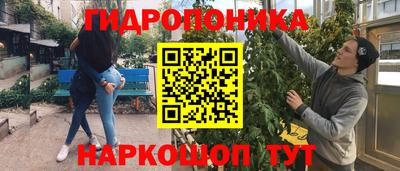 герыч Кингисепп