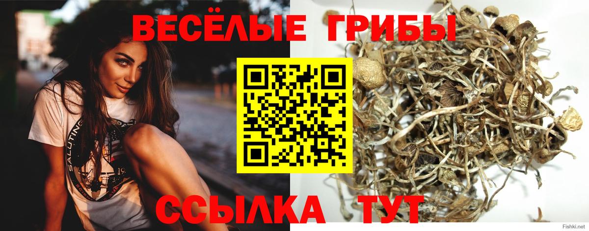 Галлюциногенные грибы прущие грибы  Вход с VPN  Кушва  Галлюциногенные грибы GOLDEN TEACHER 
